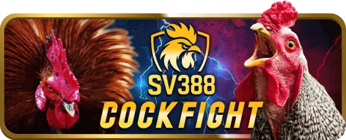 Hỗ trợ khách hàng 95vn12 nhà cái
